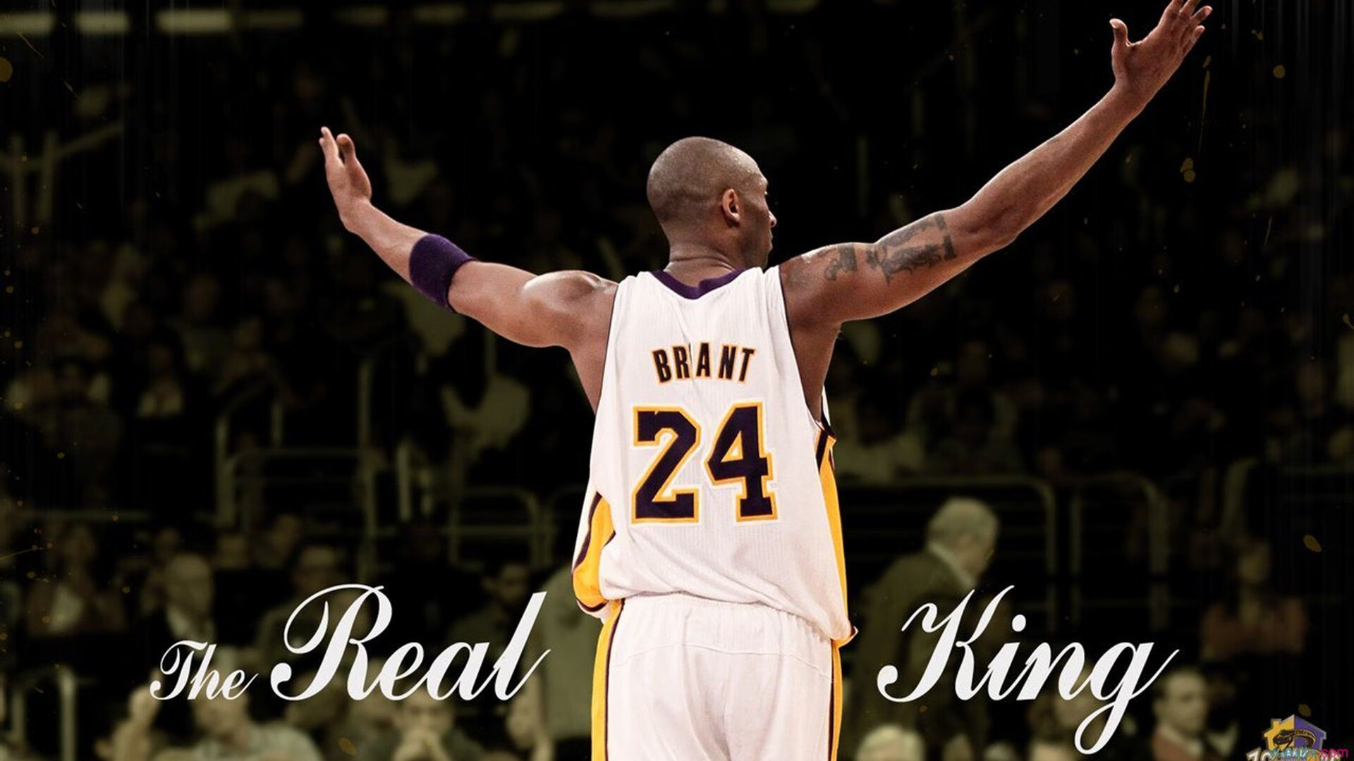 女篮亚洲杯韩国大胜菲律宾，韩国vs菲律宾亚运会